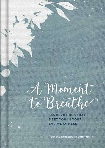 A Moment to Breathe: 365 Devotions That Meet You in Your Everyday Mess, Hardcover
