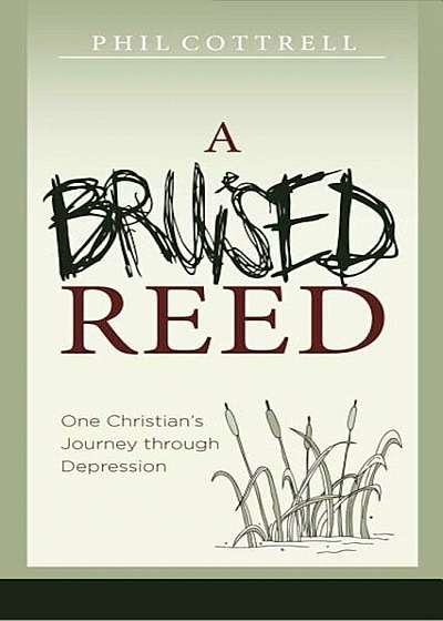 A Bruised Reed: One Christian's Journey Through Depression, Paperback
