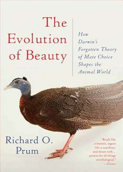 The Evolution of Beauty: How Darwin's Forgotten Theory of Mate Choice Shapes the Animal World