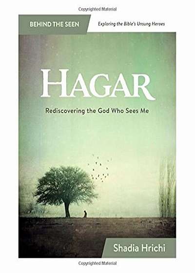 Hagar: Rediscovering the God Who Sees Me, Paperback