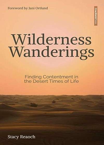 Wilderness Wanderings: Finding Contentment in the Desert Times of Life, Paperback