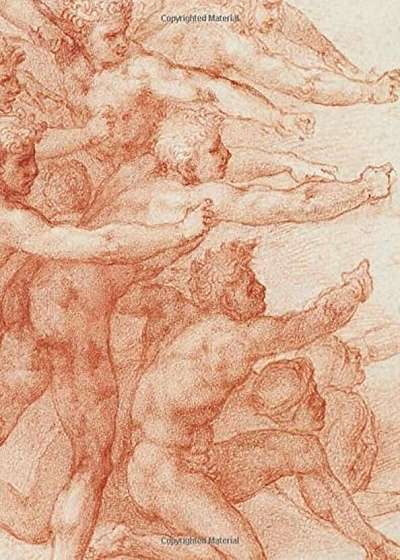 Michelangelo: Divine Draftsman and Designer, Hardcover