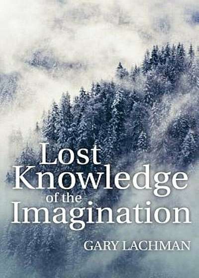 Lost Knowledge of the Imagination, Paperback
