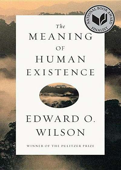 The Meaning of Human Existence, Hardcover