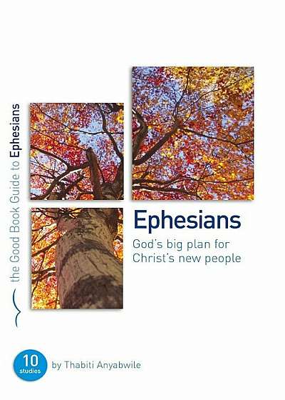 Ephesians: God's Big Plan for Christ's New People, Paperback