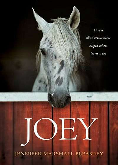 Joey: How a Blind Rescue Horse Helped Others Learn to See, Paperback