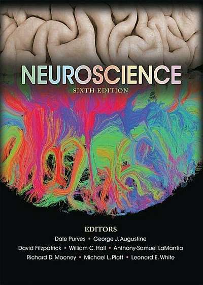 Neuroscience, Hardcover