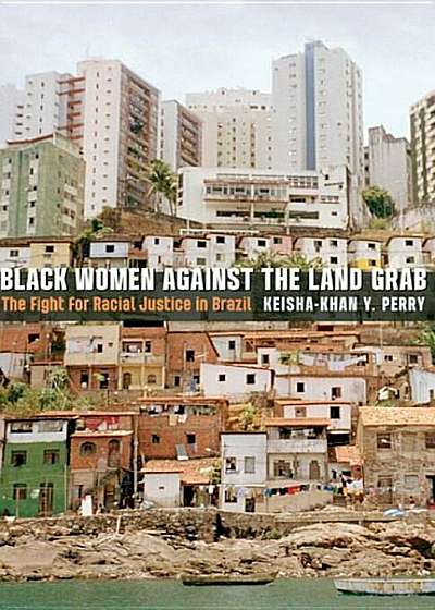 Black Women Against the Land Grab: The Fight for Racial Justice in Brazil, Paperback