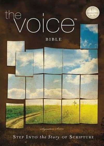 Voice Bible-VC: Step Into the Story of Scripture, Paperback