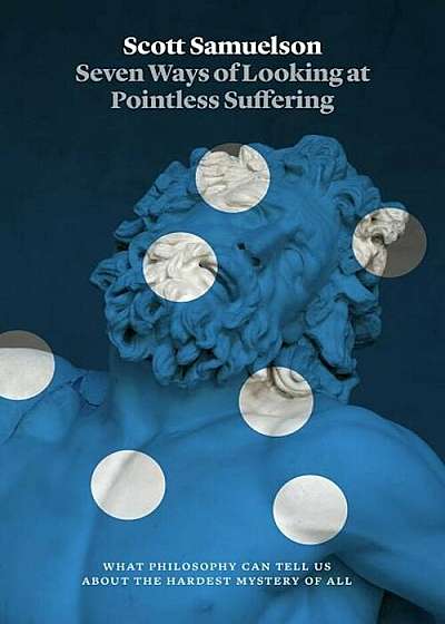 Seven Ways of Looking at Pointless Suffering: What Philosophy Can Tell Us about the Hardest Mystery of All, Hardcover