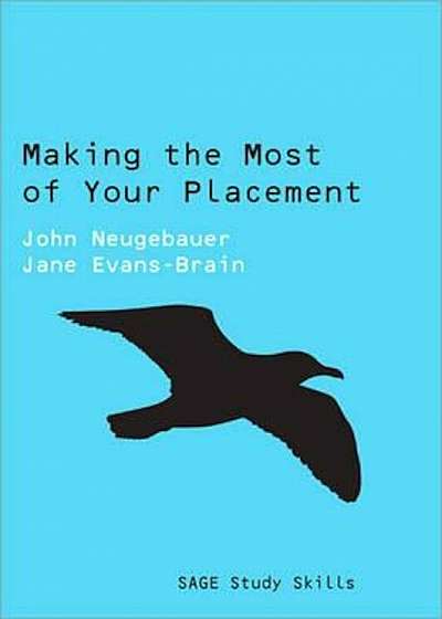 Making the Most of Your Placement, Paperback