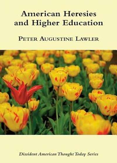 American Heresies and Higher Education, Paperback