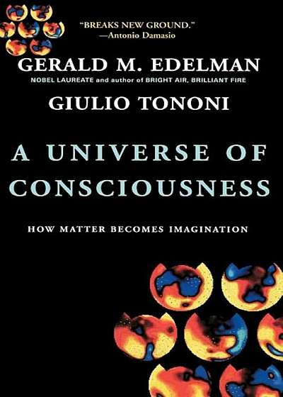 A Universe of Consciousness How Matter Becomes Imagination, Paperback