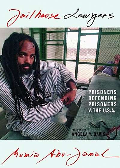 Jailhouse Lawyers: Prisoners Defending Prisoners V. the USA, Paperback
