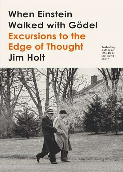 When Einstein Walked with Godel: Excursions to the Edge of Thought
