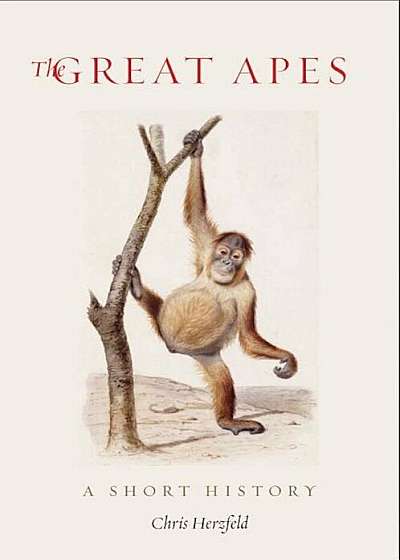 The Great Apes: A Short History, Hardcover