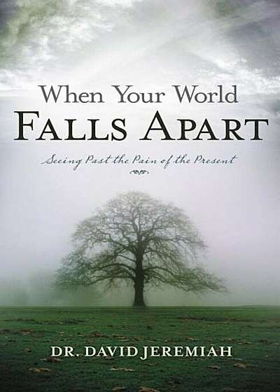 When Your World Falls Apart: See Past the Pain of the Present, Paperback