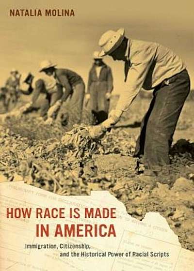 How Race Is Made in America: Immigration, Citizenship, and the Historical Power of Racial Scripts, Paperback