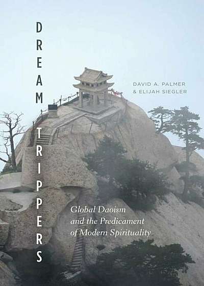 Dream Trippers: Global Daoism and the Predicament of Modern Spirituality, Paperback