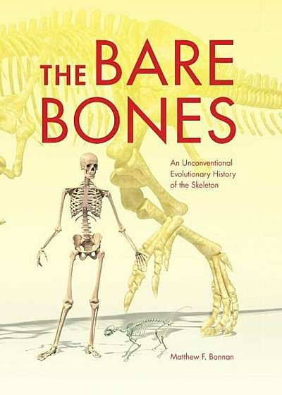The Bare Bones: An Unconventional Evolutionary History of the Skeleton, Hardcover