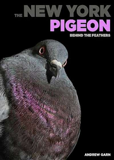 The New York Pigeon: Behind the Feathers, Hardcover