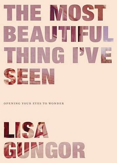 The Most Beautiful Thing I've Seen: Opening Your Eyes to Wonder, Paperback