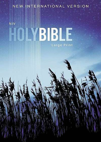 Outreach Bible-NIV, Paperback