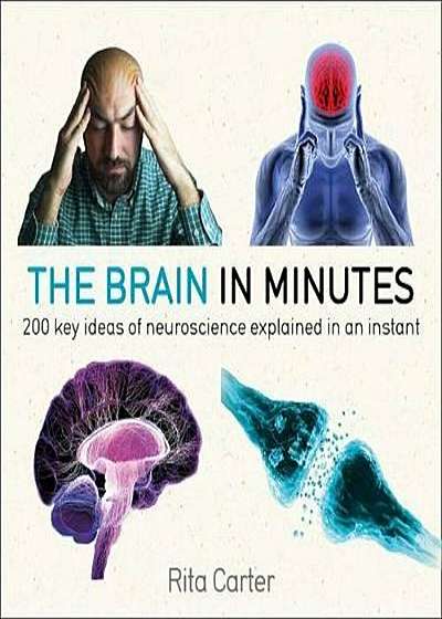 The Brain in Minutes, Hardcover
