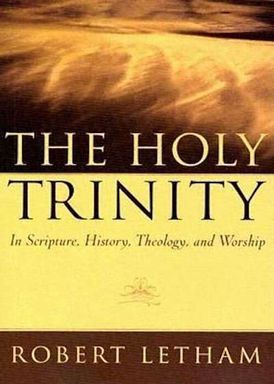 The Holy Trinity: In Scripture, History, Theology, and Worship, Paperback