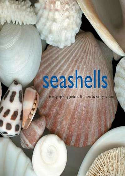 Seashells, Hardcover