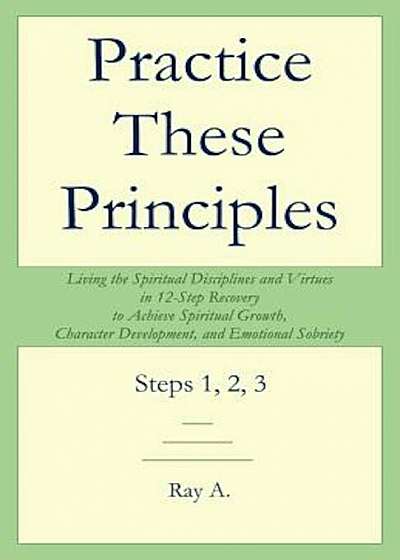 Practice These Principles: Living the Spiritual Disciplines and Virtues in 12-Step Recovery to Achieve Spiritual Growth, Character Development, a, Paperback