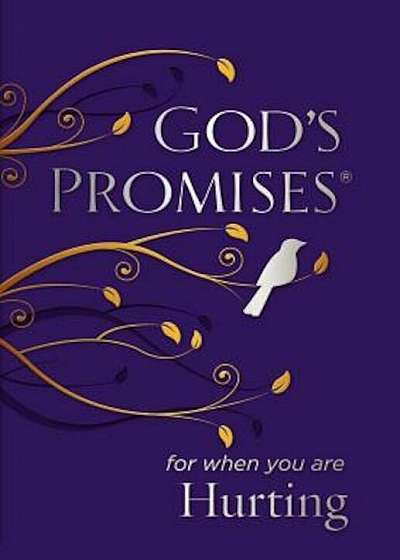God's Promises for When You Are Hurting, Paperback