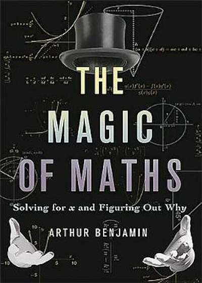 Magic of Maths (INTL PB ED), Paperback