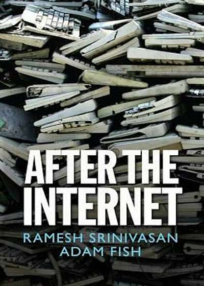 After the Internet, Hardcover