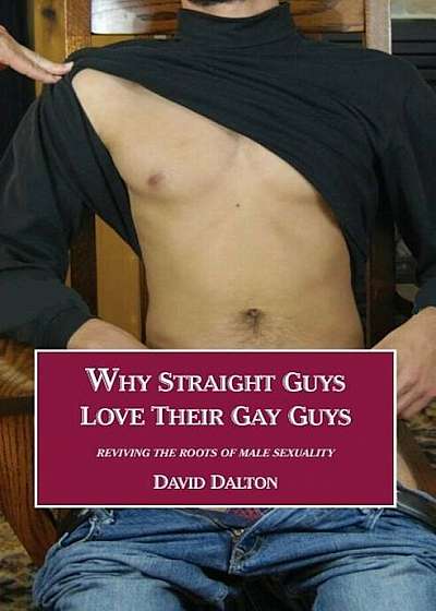 Why Straight Guys Love Their Gay Guys: Reviving the Roots of Male Sexuality, Paperback