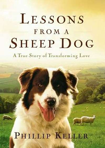 Lessons from a Sheep Dog, Hardcover