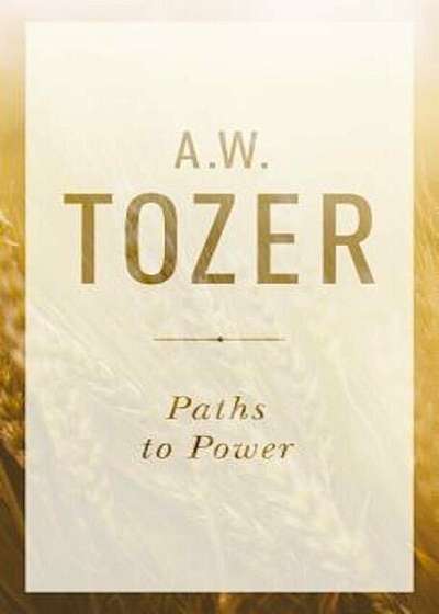 Paths to Power: Living in the Spirit's Fullness, Paperback