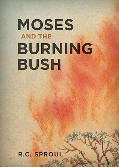 Moses and the Burning Bush, Hardcover