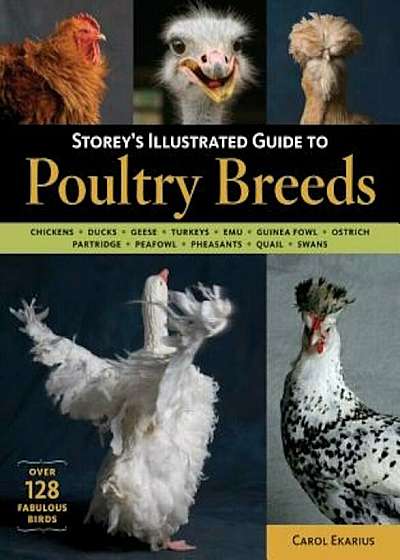 Storey's Illustrated Guide to Poultry Breeds: Chickens, Ducks, Geese, Turkeys, Emus, Guinea Fowl, Ostriches, Partridges, Peafowl, Pheasants, Quails, S, Paperback