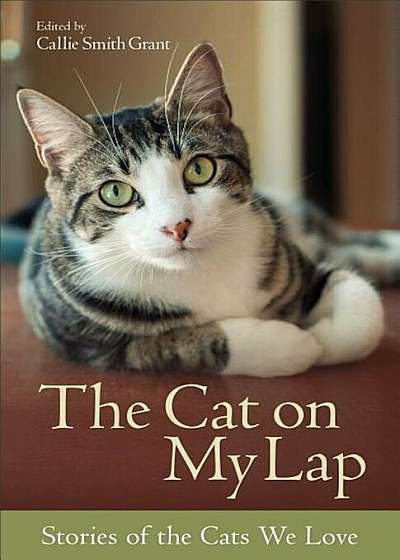 The Cat on My Lap: Stories of the Cats We Love, Paperback