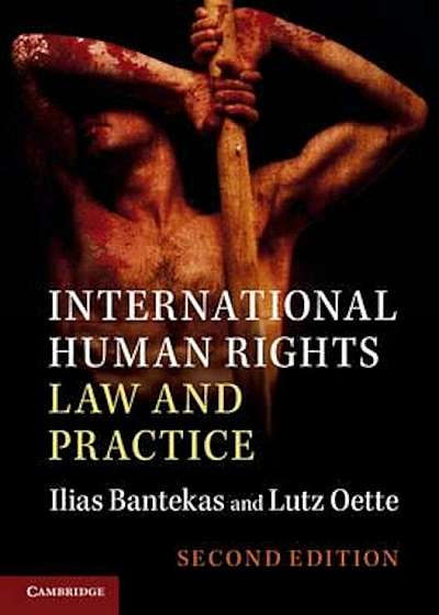 International Human Rights Law and Practice, Paperback