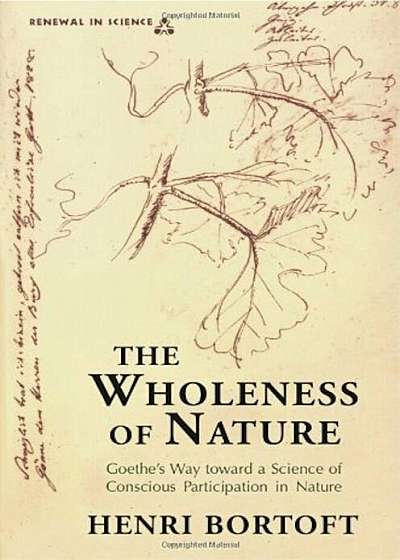 The Wholeness of Nature: Goethe S Way Toward a Science of Conscious Participation in Nature, Paperback