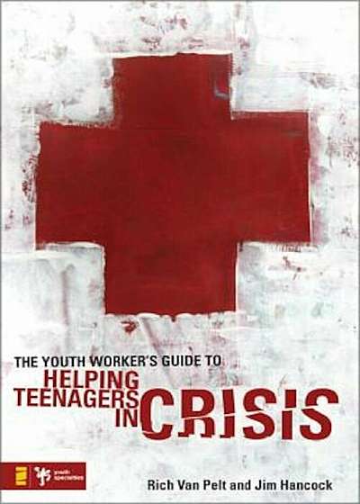 The Youth Worker's Guide to Helping Teenagers in Crisis, Paperback