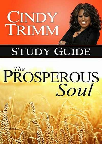 The Prosperous Soul Study Guide, Paperback