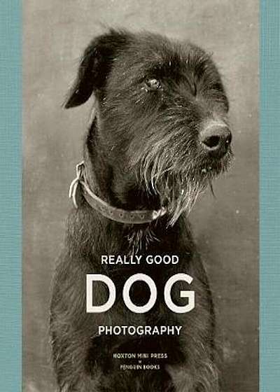 Really Good Dog Photography, Hardcover