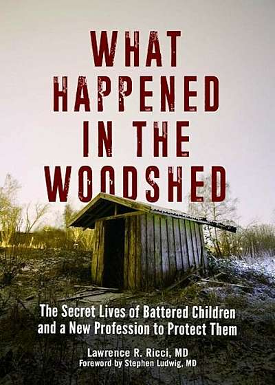 What Happened in the Woodshed: The Secret Lives of Battered Children and a New Profession to Protect Them, Hardcover