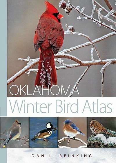 Oklahoma Winter Bird Atlas, Paperback