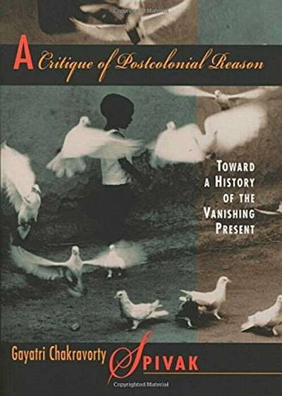 A Critique of Postcolonial Reason: Toward a History of the Vanishing Present, Paperback