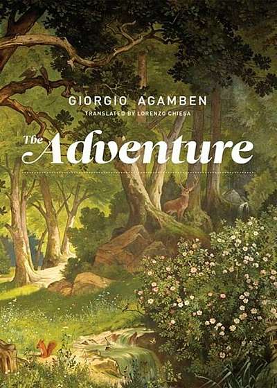 The Adventure, Hardcover