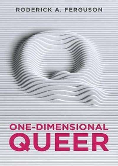 One-Dimensional Queer, Paperback